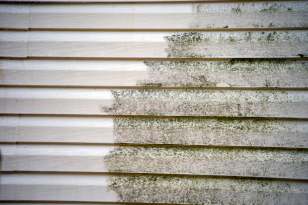 Best Mattress Disposal  in Chester Heights, PA